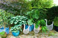 Decorative wire birds amongst pots of foliage plants including Hostas, Monstera deliciosa - Cheese plant and Ficus. Beggars Knoll, Newtown, Westbury, Wiltshire, UK