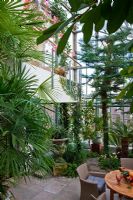 View of the conservatory to the second floor, secured with a modern railing. Planting includes Araucaria heterophylla, Bougainvillea glabra, Citrus sinensis, Cycas revoluta, Ficus cyatistipula and Rhapis excelsa - Wintergarten, Germany
