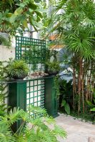 Wooden plinths painted in green with glass plate in front of a trellis, used as a placement area. Planting includes Ficus cyatistipula, Philodendron xanadu and Rhapis excelsa - Wintergarten, Germany