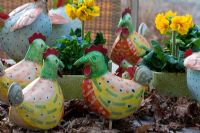 Metal hens painted in bright colours and pots of Primula - Wintergarten, Germany