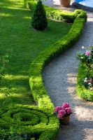 A low clipped Box hedge winding up in a spiral separates a lawn from a gravel path with a Hydrangea in a terracotta pot
