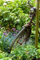 Old bicycle leaning against a wooden pole in a spring border of Aquilegia, Myosotis and Paeonia suffruticosa