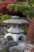 Stone lantern in a Japanese garden surrounded by Acer palmatum 'Dissectum Atropurpureum', Azalea japonica and Pinus sylvestris