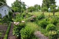 Vegetable patches are framed with clipped box, perennial borders with mulched pathway. Planting includes Astilbe, Buxus, Digitalis purpurea, Erigeron 'Mrs. Beale', Lupinus, Paeonia, Phlox paniculata, Tanacetum and Thalictrum aquilegifolium 'Album'