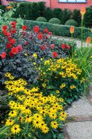 Hot colour borders in late Summer with Rudbeckias, Kniphofia and Dahlias - Wyken Hall, Suffolk