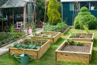 Garden view with veg beds and watering can