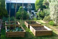 Garden with veg beds