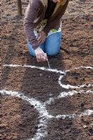 Planting a herbaceous border - marking plant areas with sand 