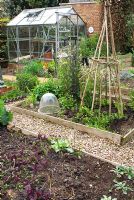 Vegetable garden in Spring with wooden planks edging beds, wigwam plant support, gravel paths and greenhouse in at Bliss Lane, Flore, Northamptonshire. The garden is open for The National Garden Scheme