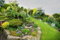 View of rockery at Hillside cottage with potted Phormiums, clipped Box, dwarf weeping Cedar, Azalea, Viola and Pansies.