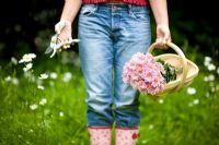 Woman wearing blue jeans and wellies holding a wooden trug of pink chrysanthemum and secateurs