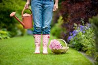Woman wearing blue jeans and wellies holding a red watering can beside a wooden trug of pink chrysanthemum 