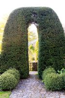 Yew arch with stone path and variegated box. Chiffchaffs, nr Bourton, Dorset, UK