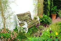 Bench framed by pots containing Olearia virgata var. lineata underplanted with Fragaria x ananassa 'Pink Panda'. Nearby a pot of Myosotidium hortensia - Chatham Island forget-me-not, . Hidden Valley Nursery, Old South Heale, High Bickington, north Devon, UK