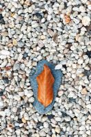 Autumn leaf on stone in gravel abstract