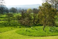 View from the house across naturalistic areas of the garden studded with spring flowers, across surrounding countryside to Wells Cathedral beyond. Milton Lodge, Wells, Somerset, UK
