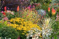 Sunken garden includes a vibrant mix of colourful perennials including Rudbeckias, Eryngiums, Kniphofias, Crocosmias and Echinaceas. Poppy Cottage Garden, Roseland Peninsula, Cornwall, UK