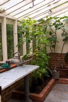 Newly built lean to greenhouse for potting and growing Tomatoes. The Secret Garden at Serles House, Wimborne, Dorset, UK