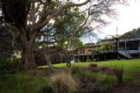 Looking towards house with Vitex lucens - Puriri tree, left, and Cyathea dealbata
