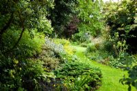 Informal garden with curved borders - Holbeach Hurn, Lincolnshire, UK, June 
