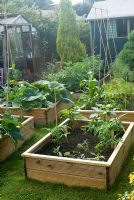 Veg beds with tomatoes, sweetcorn, pumpkins, runner beans, asparagus