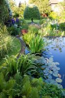 Summer garden, large formal pond surrounded by informal planting - The Corner House, Wiltshire.