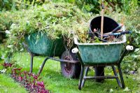 Wheelbarrows with tools being used to collect garden waste