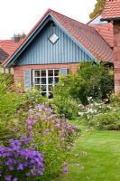 Garden backed by brick house with blue painted wooden gable. Plants are Rosa 'Loveley Meidiland', Aster amellus 'Veilchenkönigin', Miscanthus sinensis 'Gracillimus' and Physostegia virginiana 'Vivid'