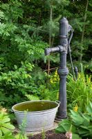 Water well with tin bath next to Hosta, Lysimachia punctata and Ferns