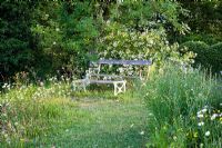 Wild flower meadow with seating. Plants include Lotus corniculatus - Birds foot trefoil, Leucanthemum vulgare - Ox Eye Daisy
