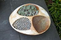 Stoneware pot made by Gordon Cooke with Sedum - Poplar Grove