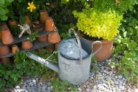Golden Marjoram in pot with watering can and clay pots
