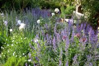 Iris barbata, Geranium, Nepeta 'Walkers Low' and Miscanthus sinensis 'Morning Light' in border with wooden bench