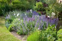 Iris barbata, Geranium, Nepeta 'Walkers Low' and Miscanthus sinensis 'Morning Light' in gravel border with wooden bench
