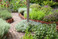 Herb garden with Buxus - Box balls, Lavandula - Lavender, Foeniculum vulgare - Fennel, Salvia officinalis - Sage, Santolina - Cotton Lavender, Mentha - Mint in beds edged with terracotta tiles
