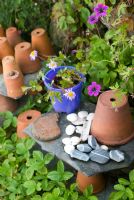 Old terracotta pots on slate shelf with purple bucket, pebbles and sea shells. Geranium 'Anne Folkard'