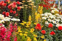 Colourful border with Dahlias. 'The Schedule' garden - Gold Medal winner, RHS Flower Show Tatton Park, Cheshire 2011 
