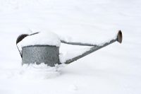 Metal watering can covered in snow