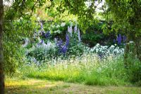 View from meadow area to blue and white themed border
