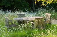 Wooden furniture in meadow garden