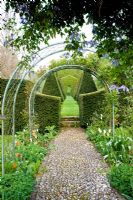 Formal cobble path and rose arch with tulips
