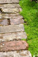 Path made from old bricks