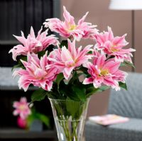 Roselily Belonica - Pink lilies in vase 