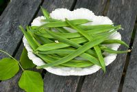 Runner bean 'White Lady' on china plate