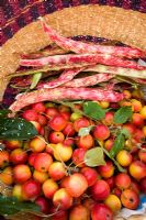 Harvested crab apples and borlotti beans in a basket