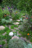 A gravel and pebble path leading through a biodiverse habitat 