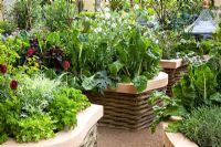 Potager with Lactuca sativa - Lettuce, Beta vulgaris 'Virgo' - Chard, Petrosellinum crispum - Parsley and Tuilpa 'Jan Reus' in raised beds with woven willow edging - 'The M and G Investments Garden', Silver Gilt Medal Winner, RHS Chelsea Flower Show 2011 
