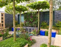 Raised beds of Buxus sempervirens - Box planted below canopy of Platanus x hispanica - London Plane trees - 'The Magistrates Garden', Silver Gilt Medal Winner, RHS Chelsea Flower Show 2011.
