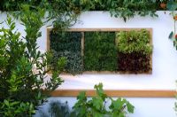 Vertical wall planting with herbs and salad - 'The Potential Feast Garden', RHS Hampton Court Flower Show 2011