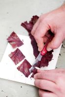 Step by step leaf-section cuttings of Begonia rex 
